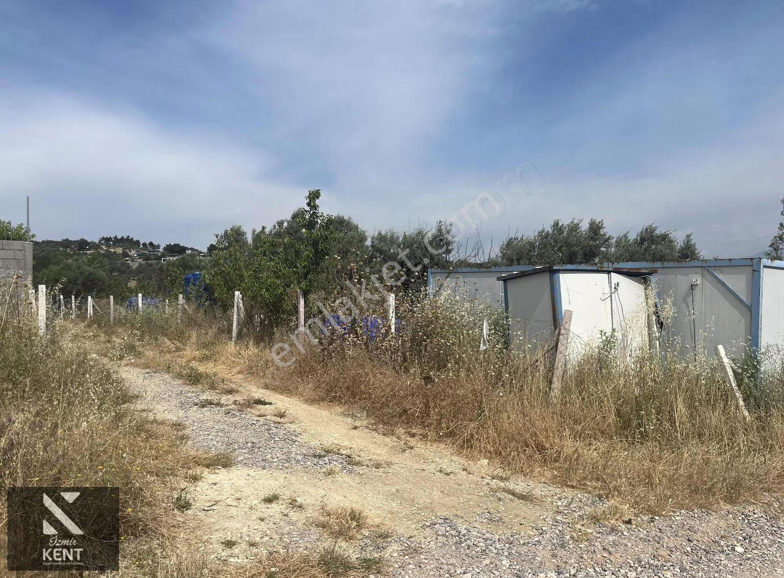 Ulucak Üstü Cevizli Yayla'da Satılık Hobi Bahçesi - Görsel 7