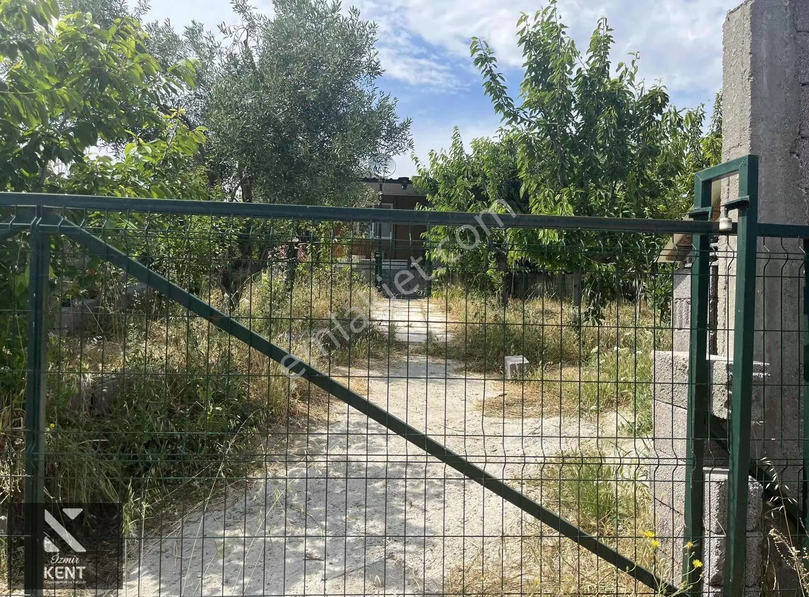Ulucak Üstü Cevizli Yayla'da Satılık Hobi Bahçesi - Görsel 10