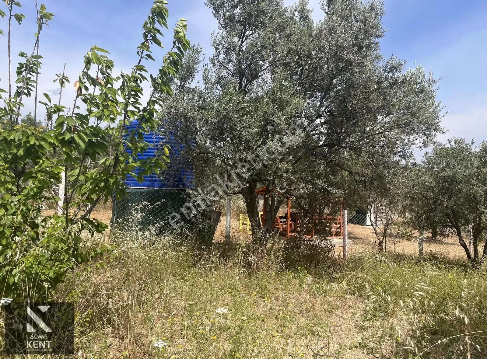 Ulucak Üstü Cevizli Yayla'da Satılık Hobi Bahçesi - Görsel 5