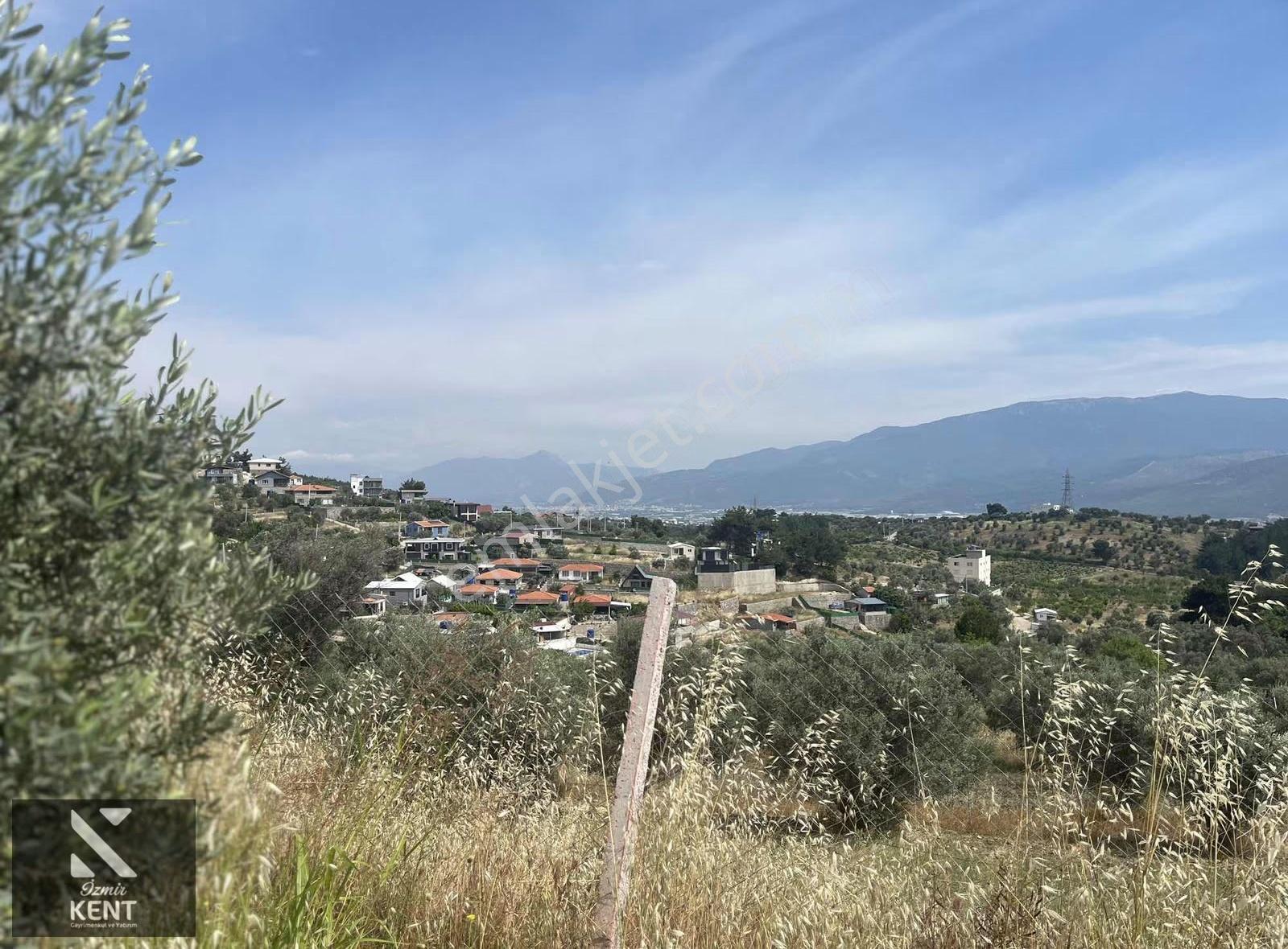 Ulucak Üstü Cevizli Yayla'da Satılık Hobi Bahçesi - Görsel 4