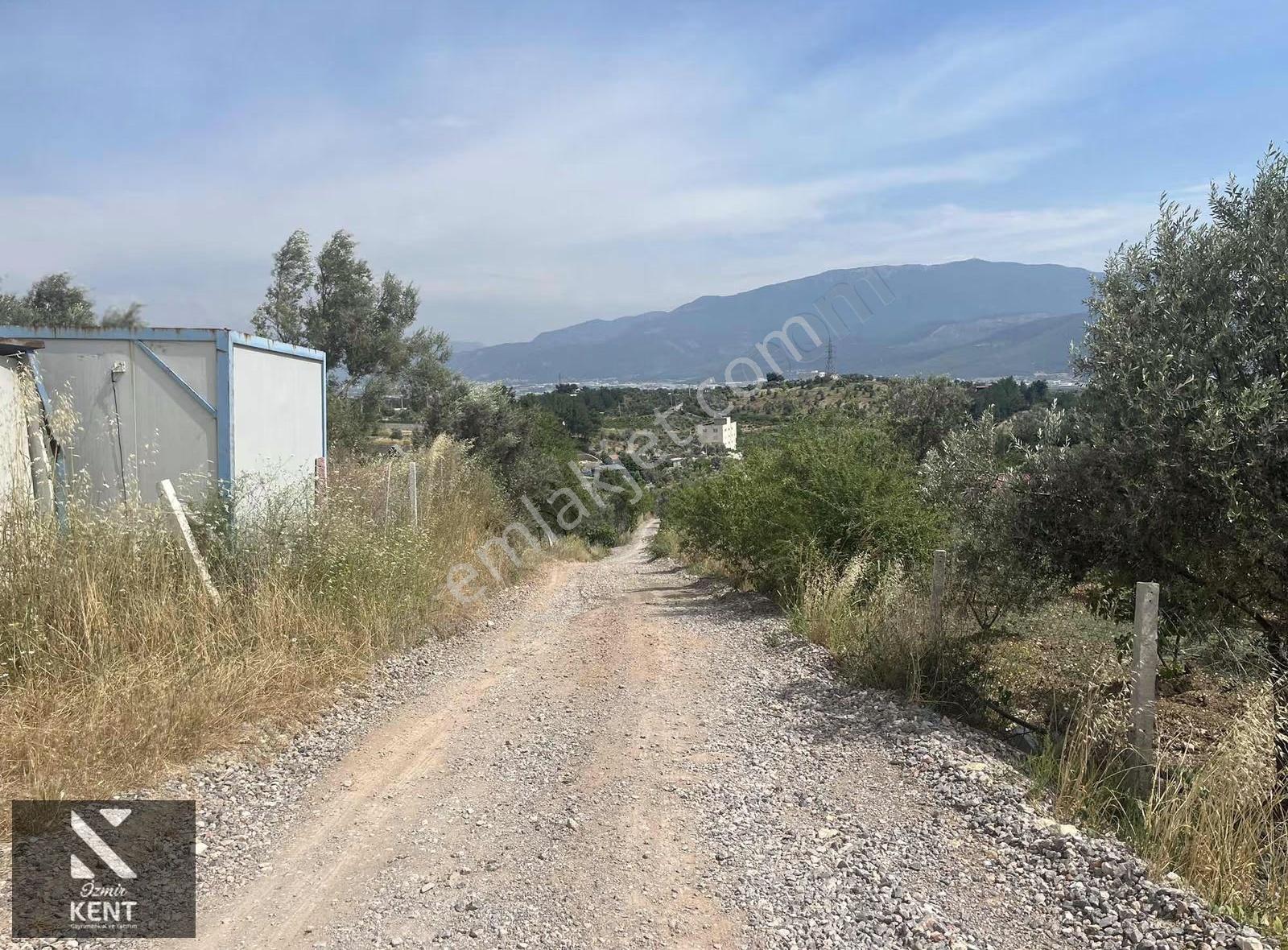 Ulucak Üstü Cevizli Yayla'da Satılık Hobi Bahçesi - Görsel 9