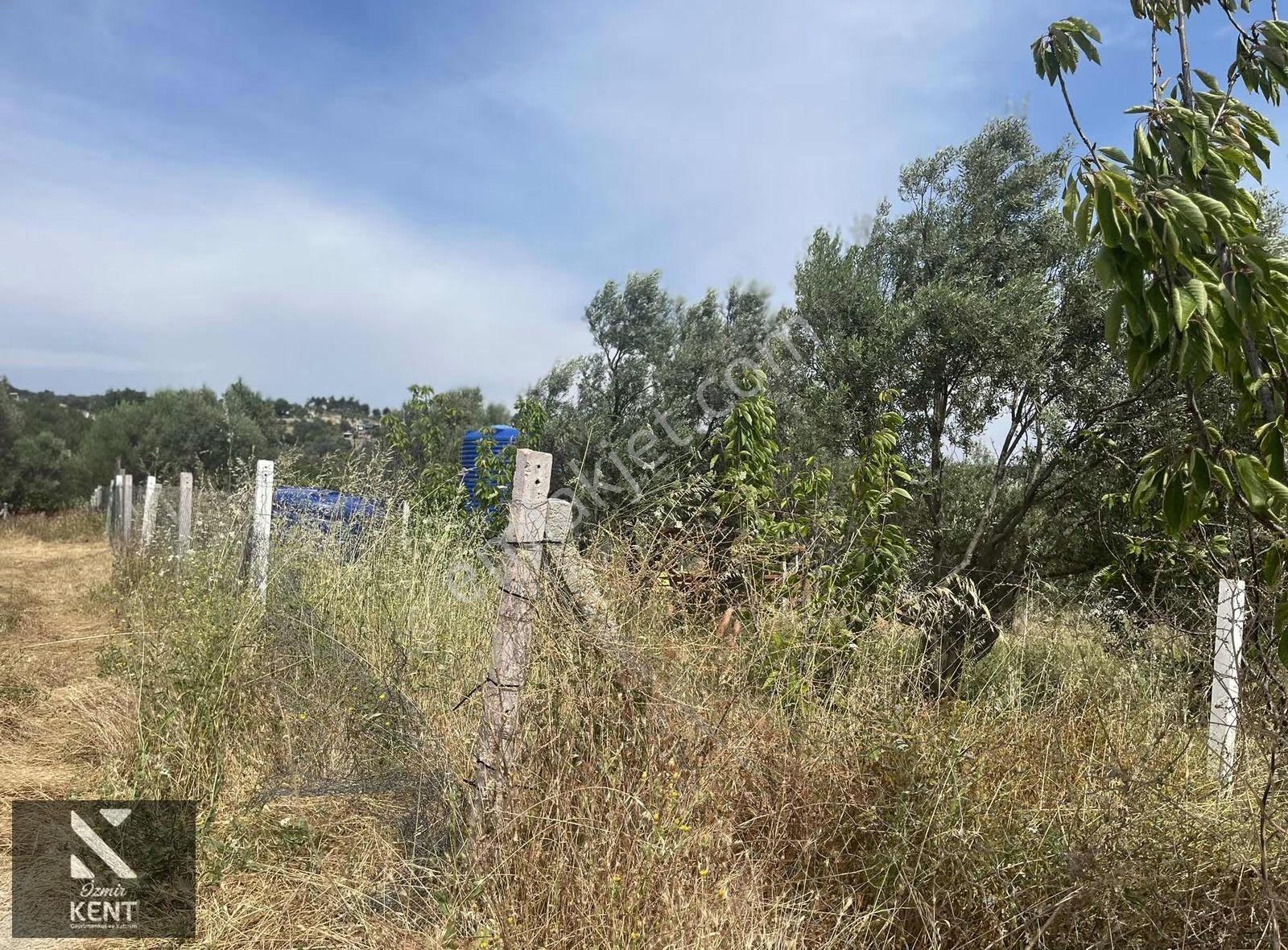 Ulucak Üstü Cevizli Yayla'da Satılık Hobi Bahçesi - Görsel 12