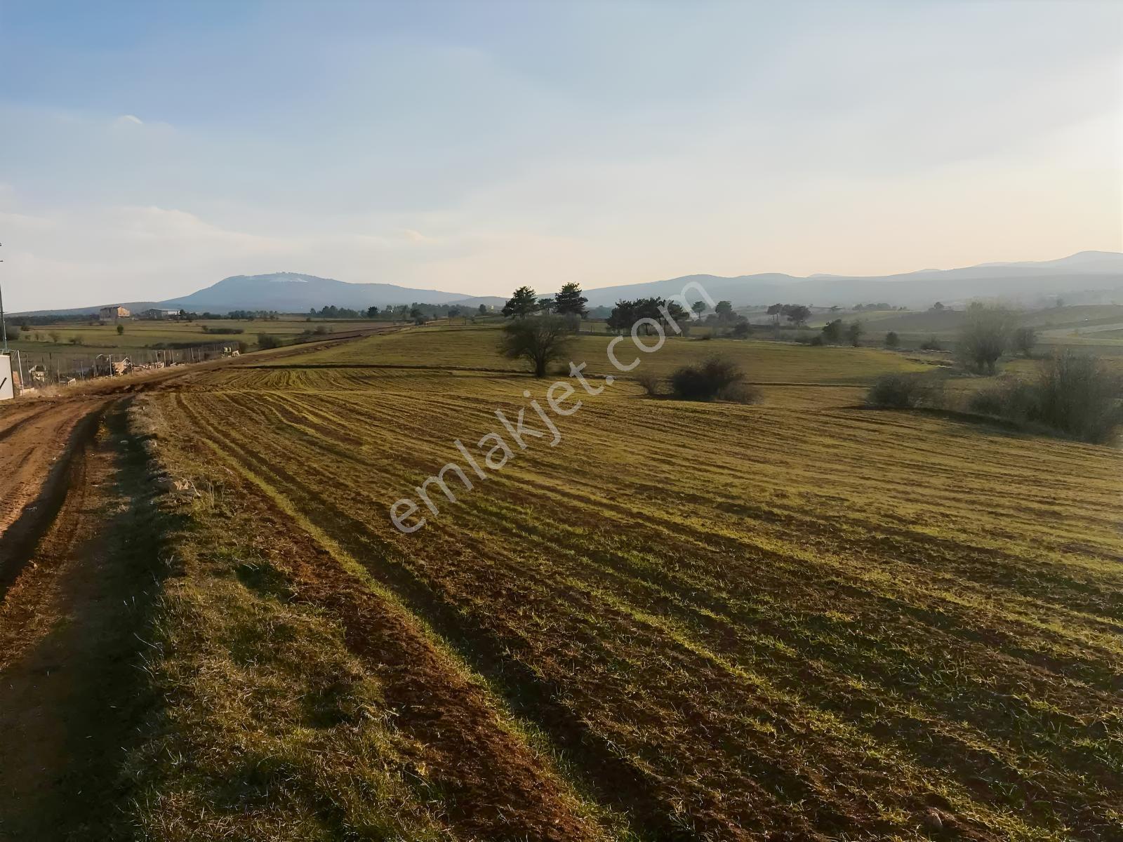 Açıklamayı Lütfen Okuyun ( Kastamonu Merkez Gölköy ) - Görsel 2