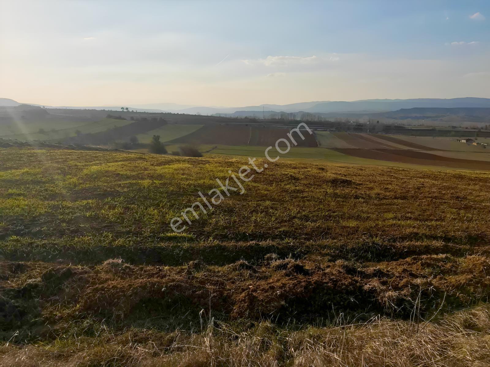 Açıklamayı Lütfen Okuyun ( Kastamonu Merkez Gölköy ) - Görsel 22