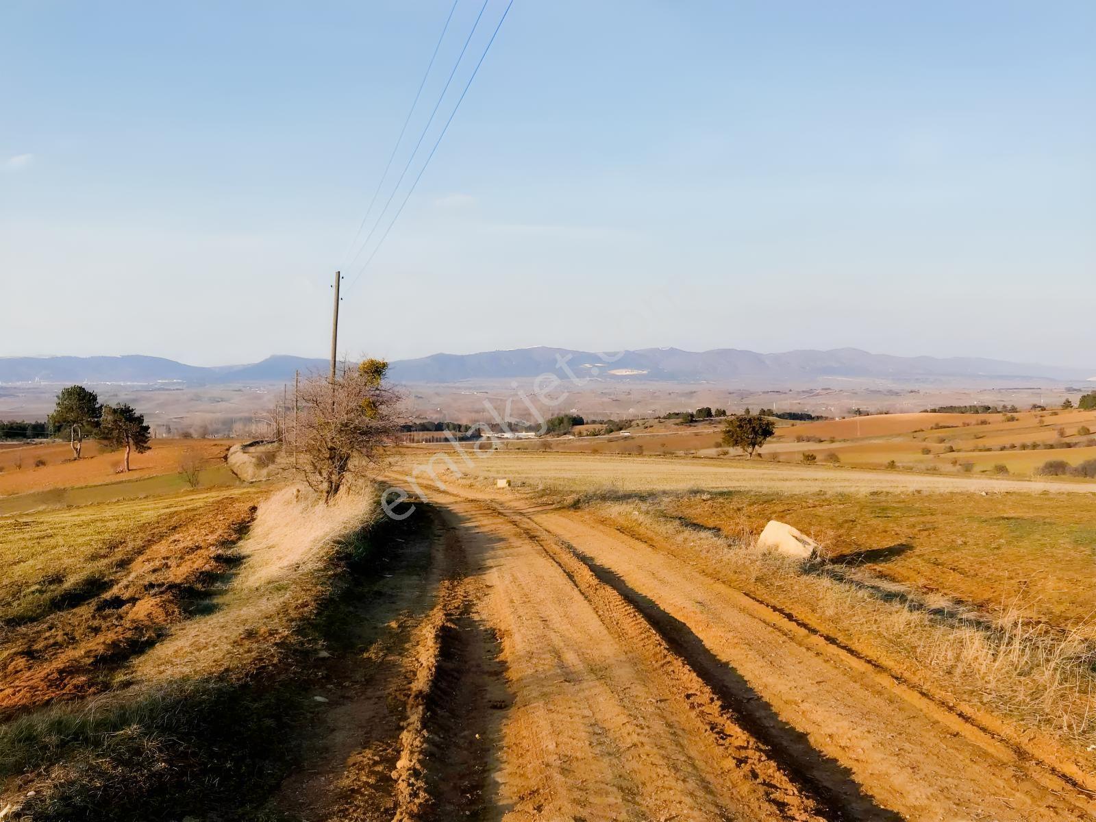 Açıklamayı Lütfen Okuyun ( Kastamonu Merkez Gölköy ) - Görsel 25