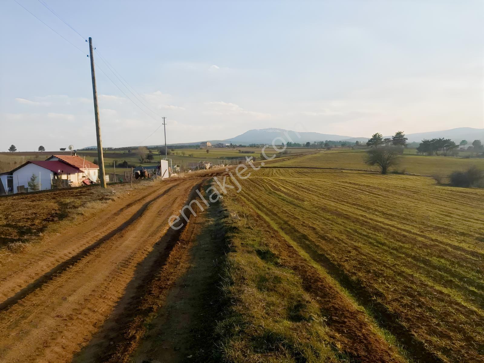 Açıklamayı Lütfen Okuyun ( Kastamonu Merkez Gölköy ) - Görsel 23