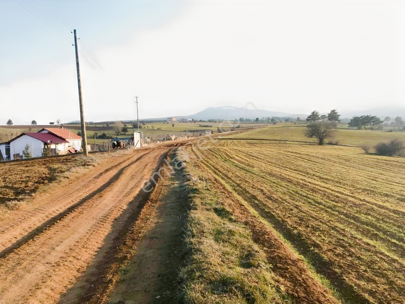 Açıklamayı Lütfen Okuyun ( Kastamonu Merkez Gölköy )