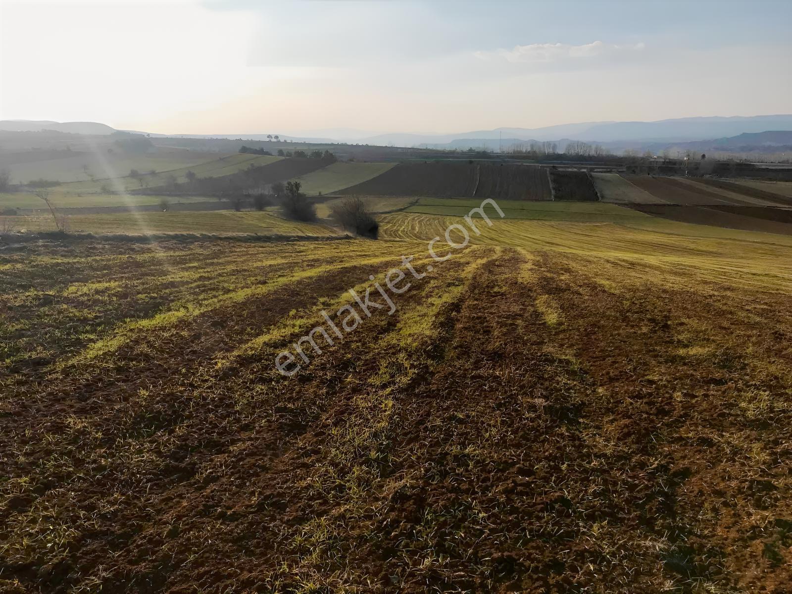 Açıklamayı Lütfen Okuyun ( Kastamonu Merkez Gölköy ) - Görsel 18