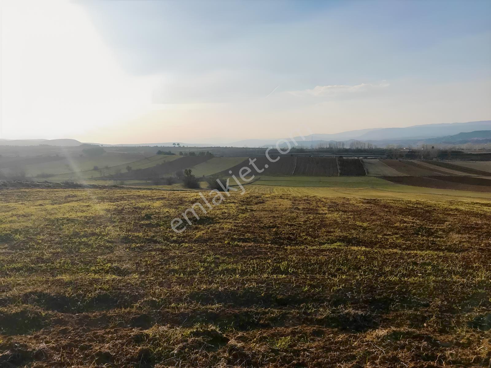 Açıklamayı Lütfen Okuyun ( Kastamonu Merkez Gölköy ) - Görsel 29