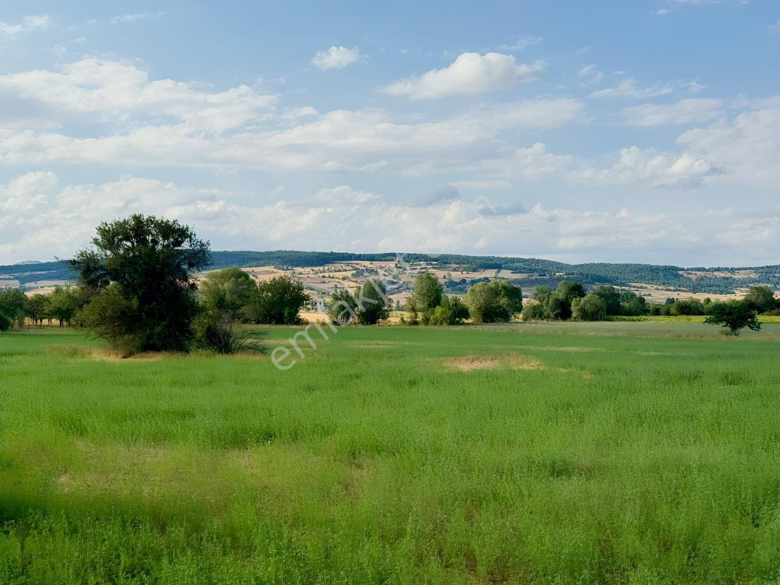 Lütfen Açıklamayı Okuyunuz (kastamonu Merkez Şeyh Köyü) - Görsel 27