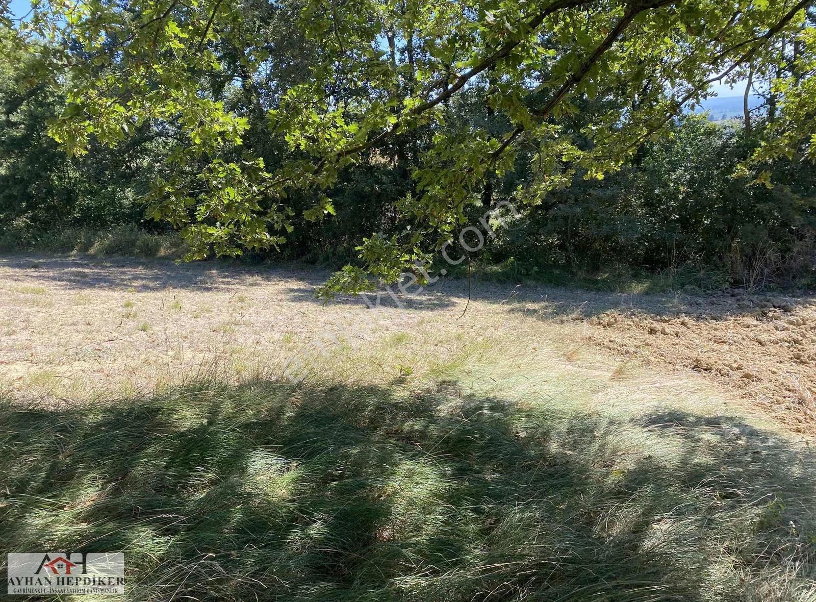 Adapazarı Salmanlı Da Baraj Yakınında 1368m2 Yatırımlık Tarla - Görsel 10