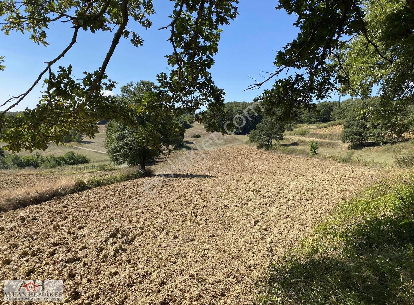Adapazarı Salmanlı Da Baraj Yakınında 1368m2 Yatırımlık Tarla - Görsel 22