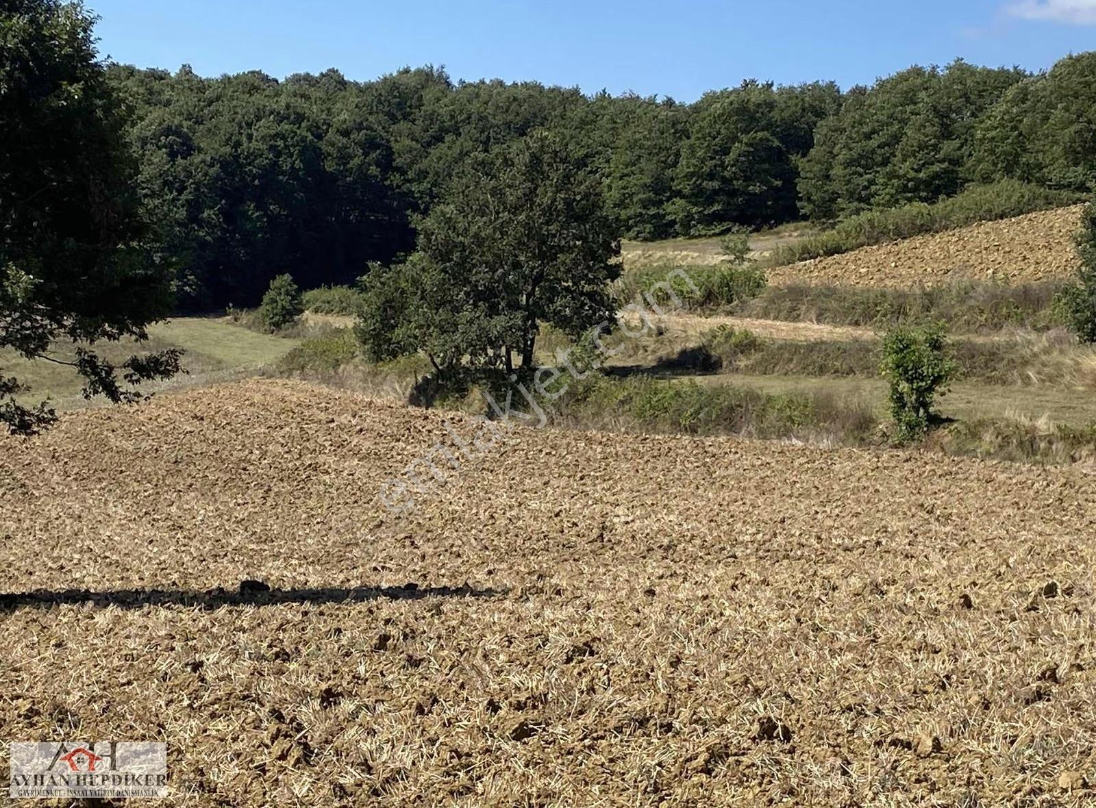 Adapazarı Salmanlı Da Baraj Yakınında 1368m2 Yatırımlık Tarla - Görsel 4