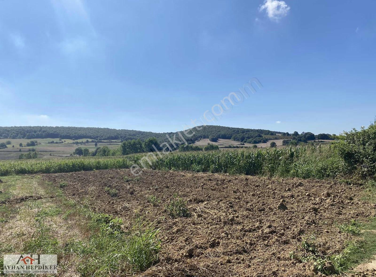 Adapazarı Salmanlı Da Baraj Yakınında 1368m2 Yatırımlık Tarla - Görsel 7