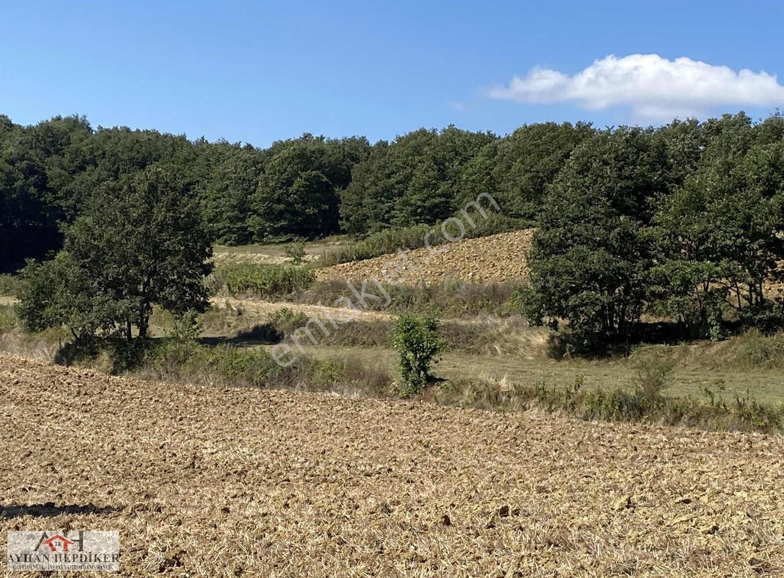 Adapazarı Salmanlı Da Baraj Yakınında 1368m2 Yatırımlık Tarla - Görsel 15