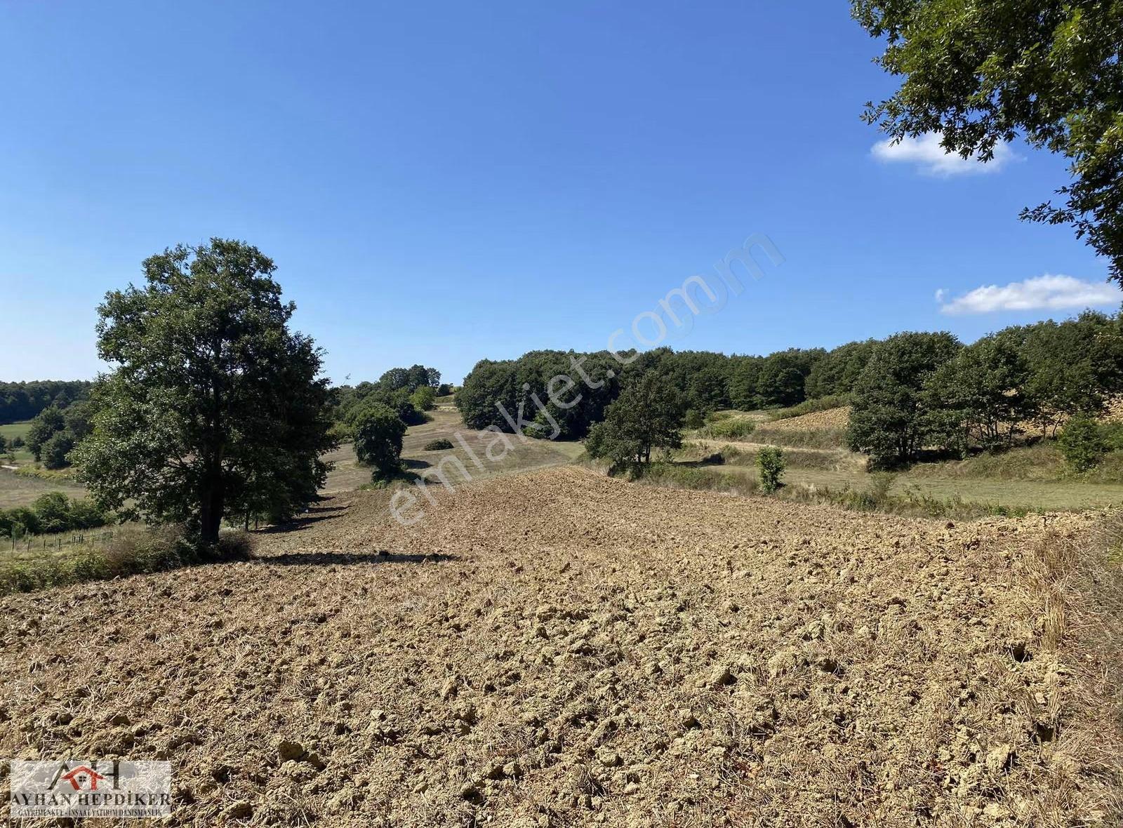 Adapazarı Salmanlı Da Baraj Yakınında 1368m2 Yatırımlık Tarla - Görsel 6