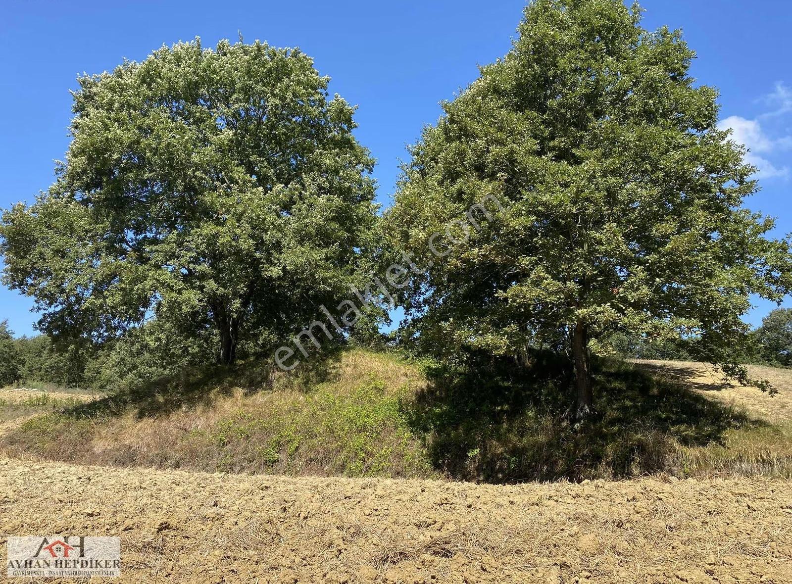 Adapazarı Salmanlı Da Baraj Yakınında 1368m2 Yatırımlık Tarla - Görsel 27