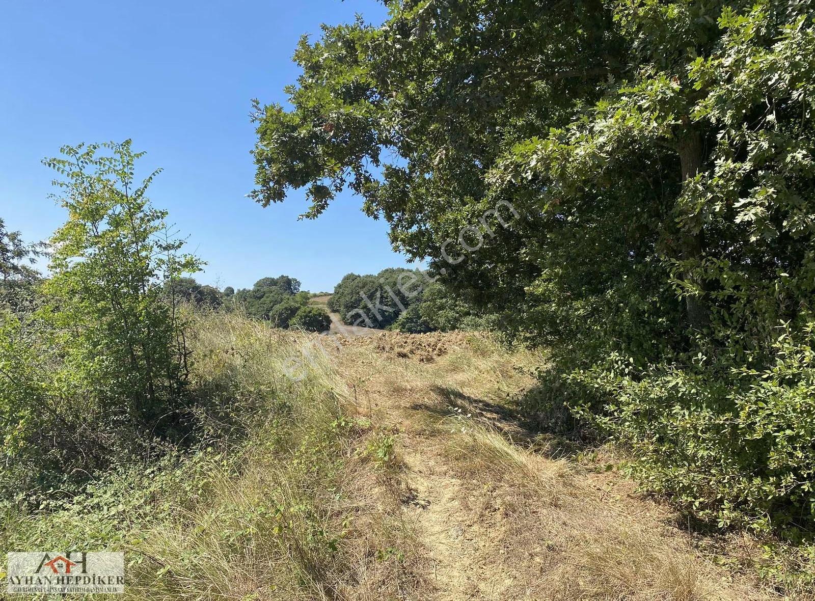 Adapazarı Salmanlı Da Baraj Yakınında 1368m2 Yatırımlık Tarla - Görsel 9