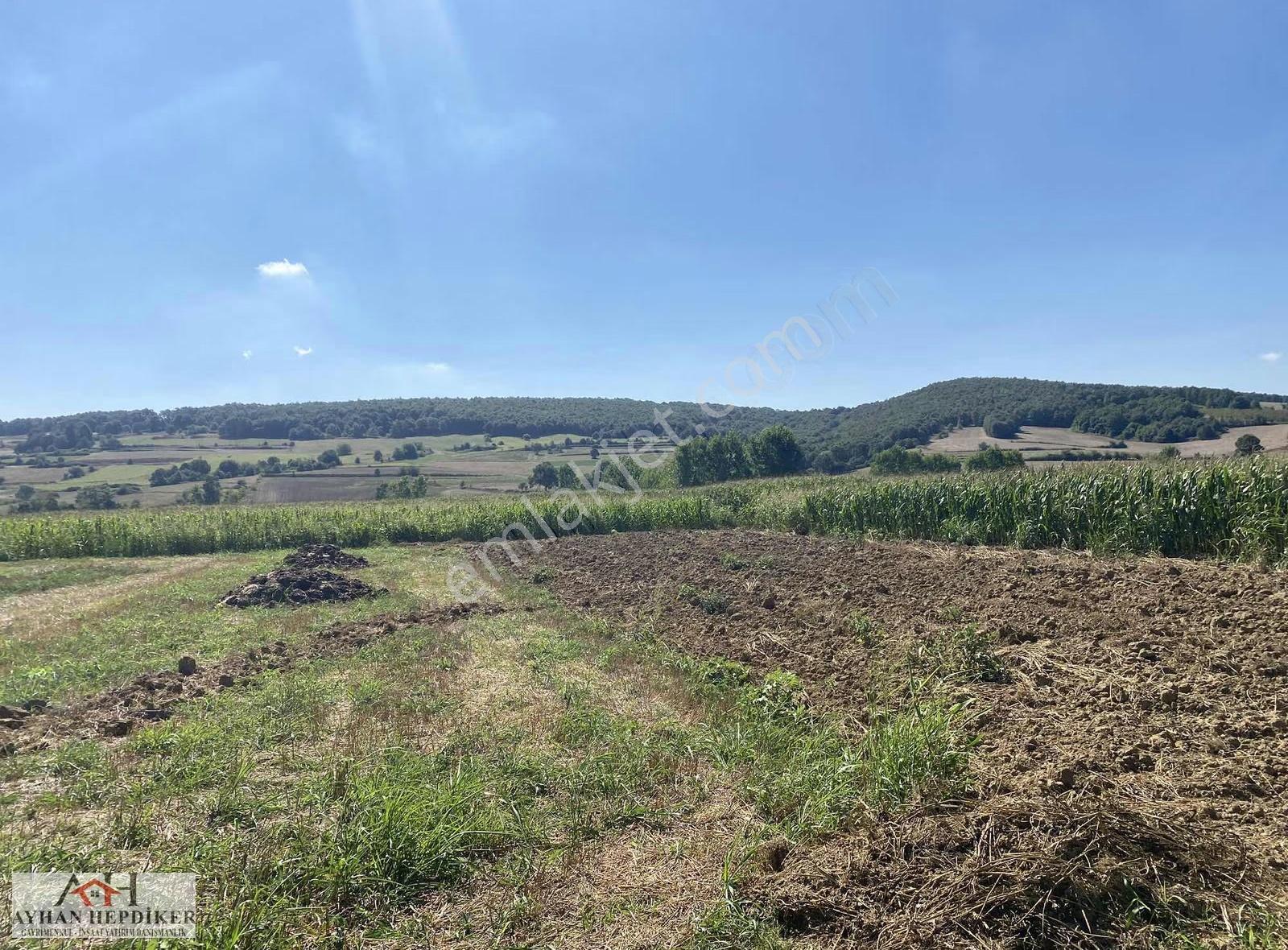 Adapazarı Salmanlı Da Baraj Yakınında 1368m2 Yatırımlık Tarla - Görsel 8