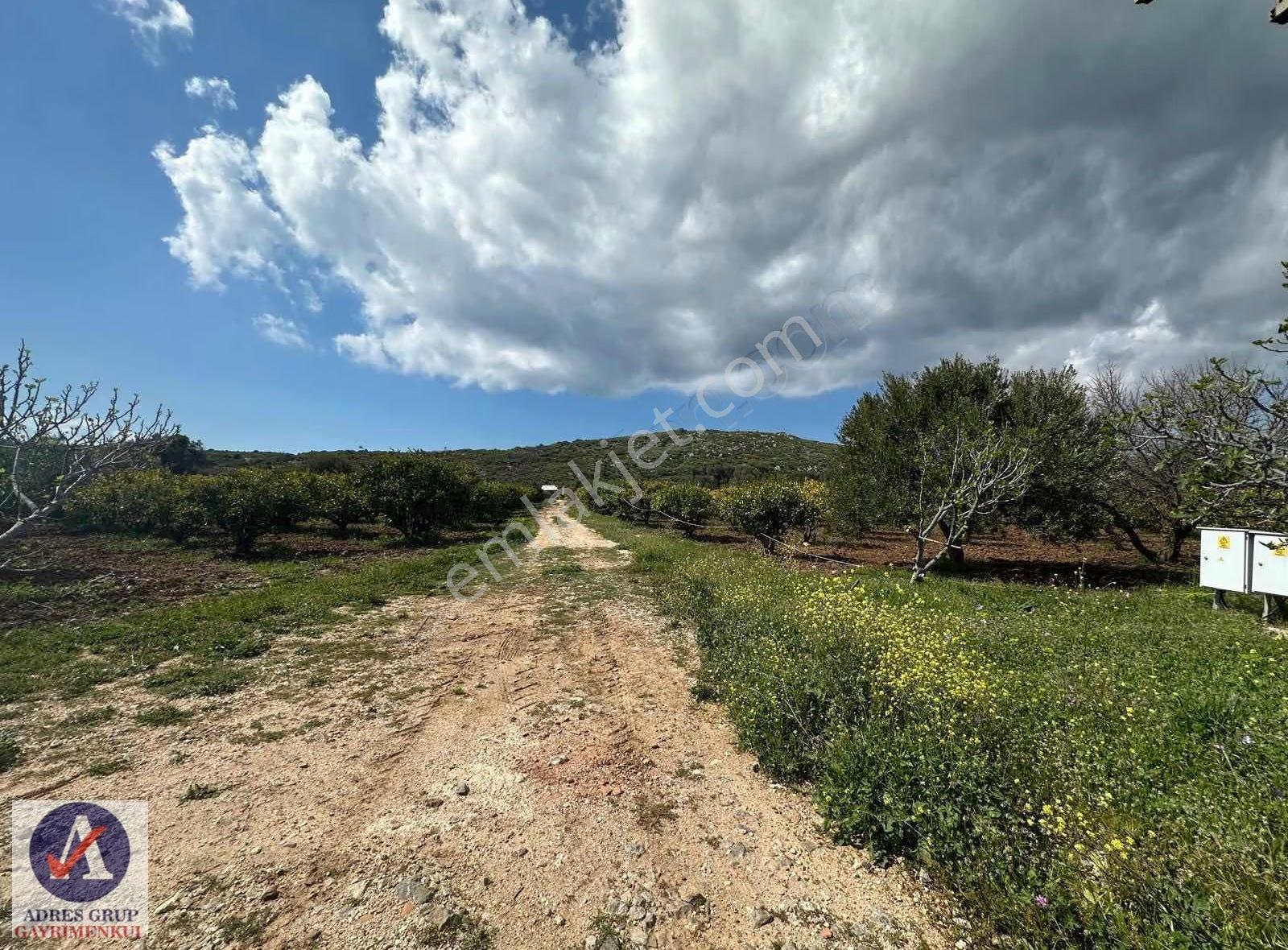 Çeşme Ildırda Satılık Tarla - Görsel 2