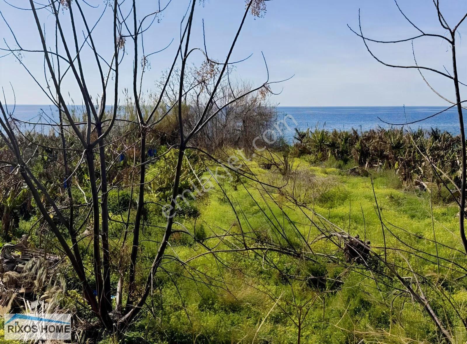 Alanya İncekum Da Satılık Rüya Gibi Denize Sıfır Tarla - Görsel 2