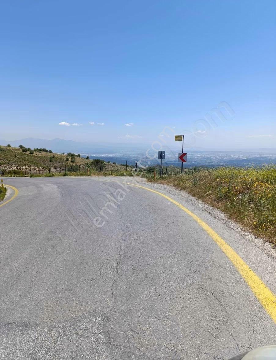 Menderes Efemçukurun'da Satılık Zeytinlik Tektapu - Görsel 19