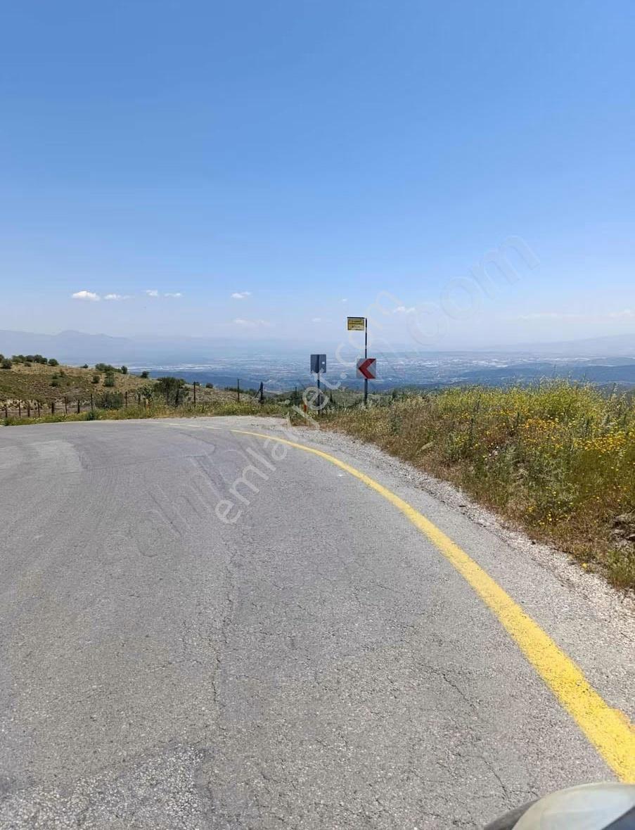 Menderes Efemçukurun'da Satılık Zeytinlik Tektapu - Görsel 8
