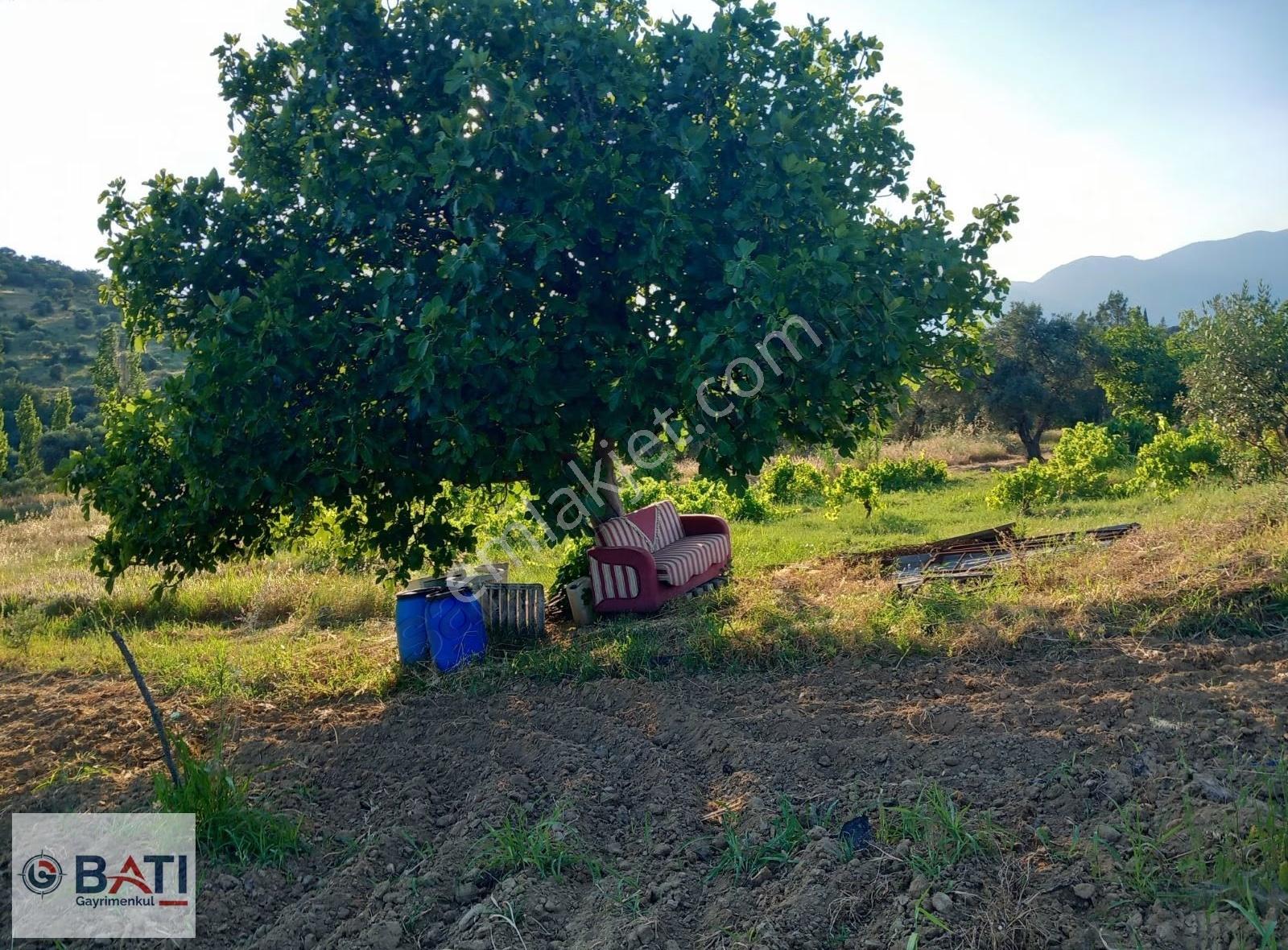 Torbalı Batı Gayrimenkul Den Satılık Hisse Tapulu Bağ Zeytinlik - Görsel 6