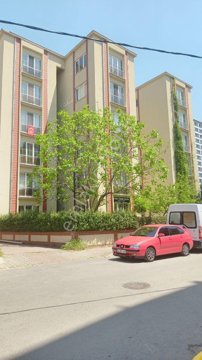 Cevizli Mah.3+1,105 M2 Sahile Yakin ,metroya Yakın Ferah Daire - Görsel 5