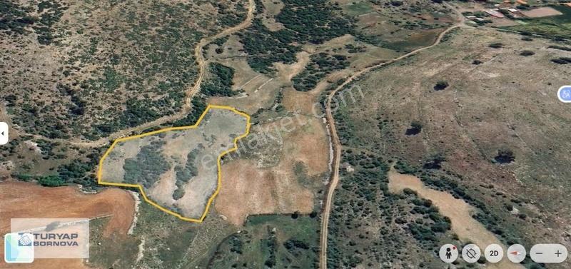 Muğla Milas Pinar'da Yatırımlık 9.107 M² Geniş Tarla - Görsel 3