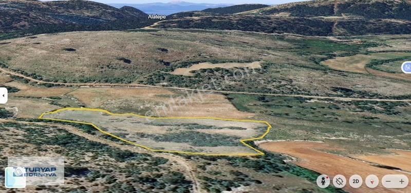 Muğla Milas Pinar'da Yatırımlık 9.107 M² Geniş Tarla - Görsel 11