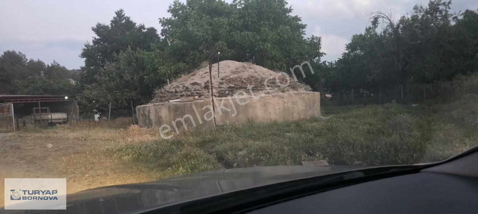 Muğla Milas Pinar'da Yatırımlık 9.107 M² Geniş Tarla - Görsel 5