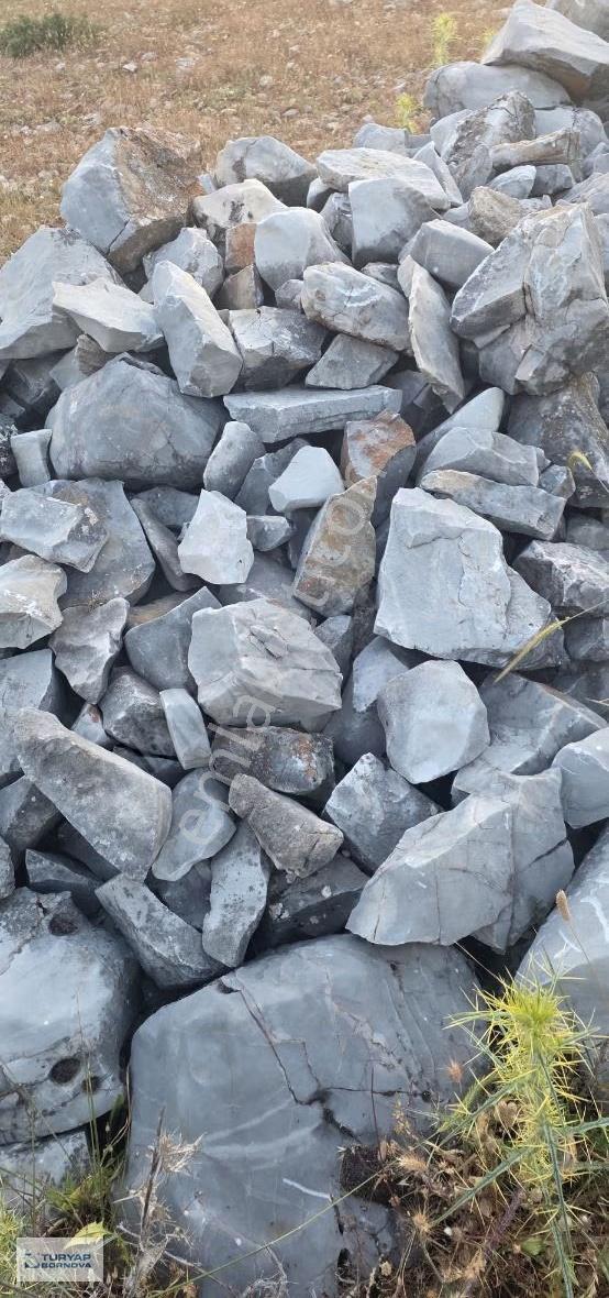 Muğla Milas Pinar'da Yatırımlık 9.107 M² Geniş Tarla - Görsel 6