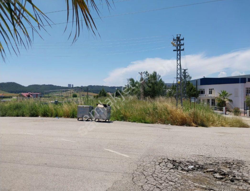 Girne Koleji Ve Akalın Huzurevi Arası Parsel - Görsel 6