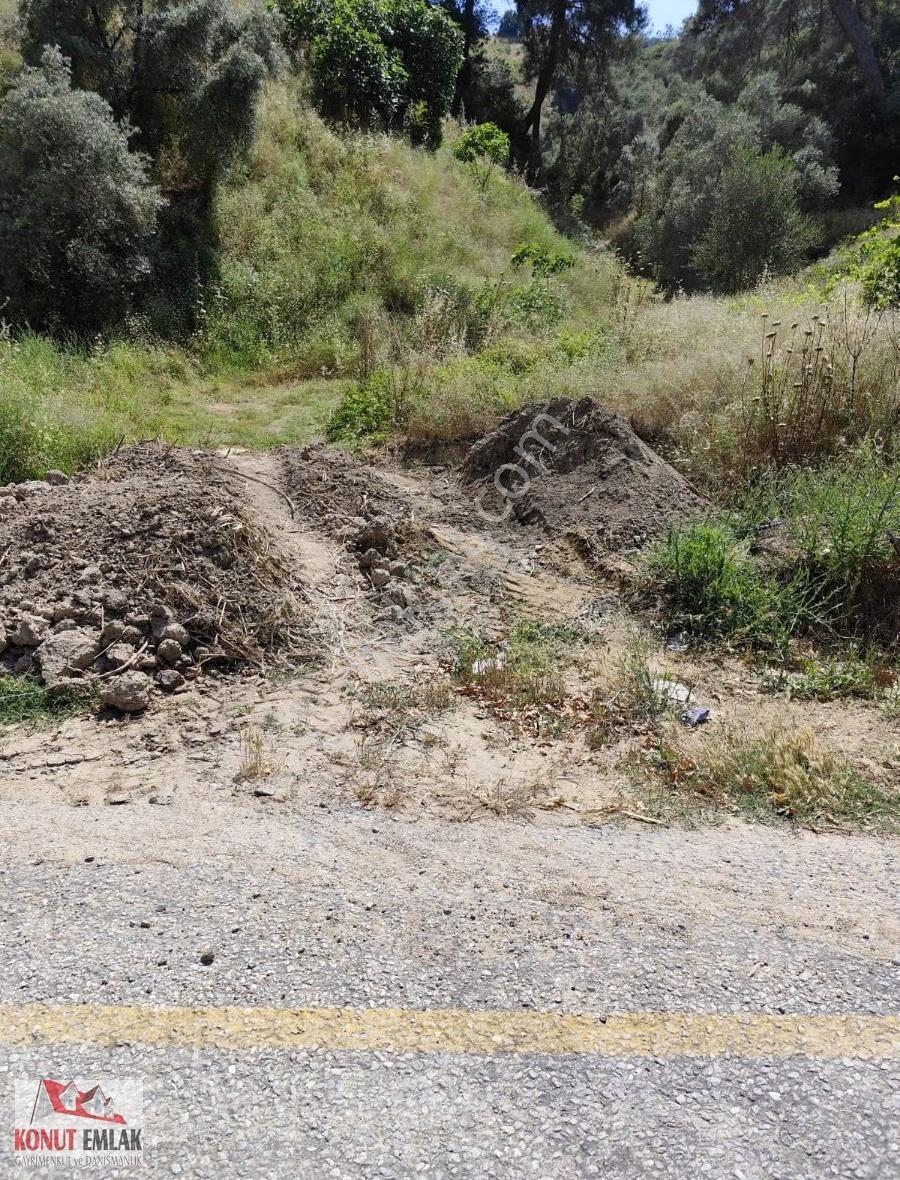 "nazilli Hasköy'de Asfalta Cephe, 8.500 M² Satılık İncirlik - Görsel 12