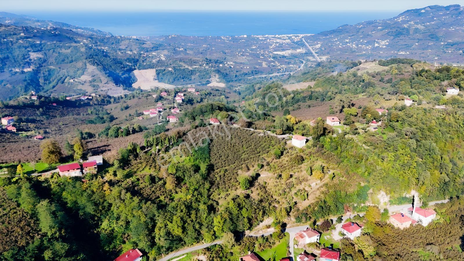Ordu Oğmacada Yola Cepheli İçinde 3 Katlıevi Olan Satılık Arazi - Görsel 27