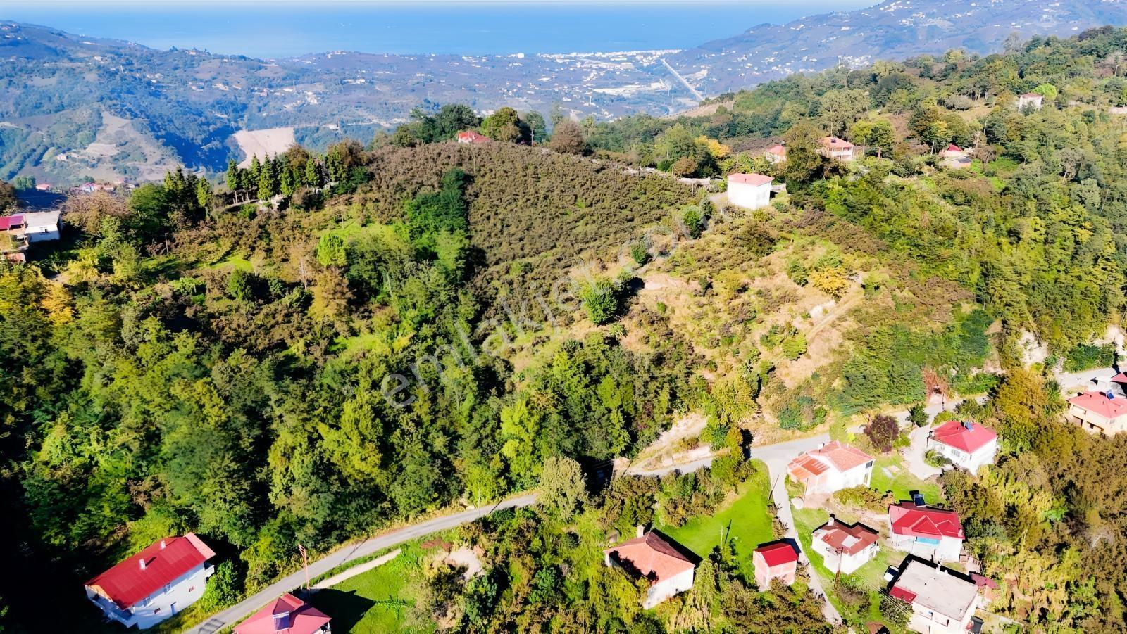 Ordu Oğmacada Yola Cepheli İçinde 3 Katlıevi Olan Satılık Arazi - Görsel 30