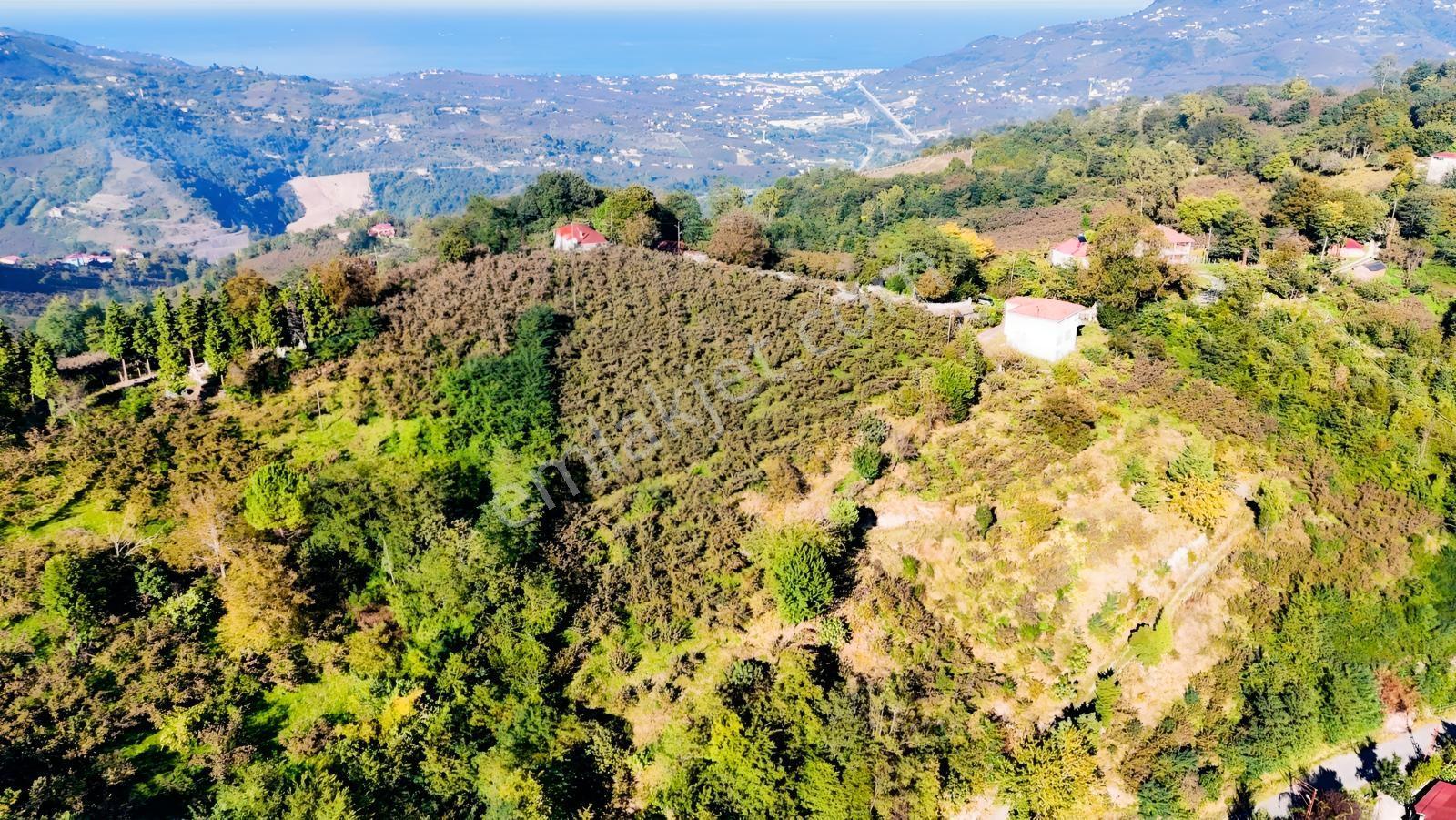 Ordu Oğmacada Yola Cepheli İçinde 3 Katlıevi Olan Satılık Arazi - Görsel 31