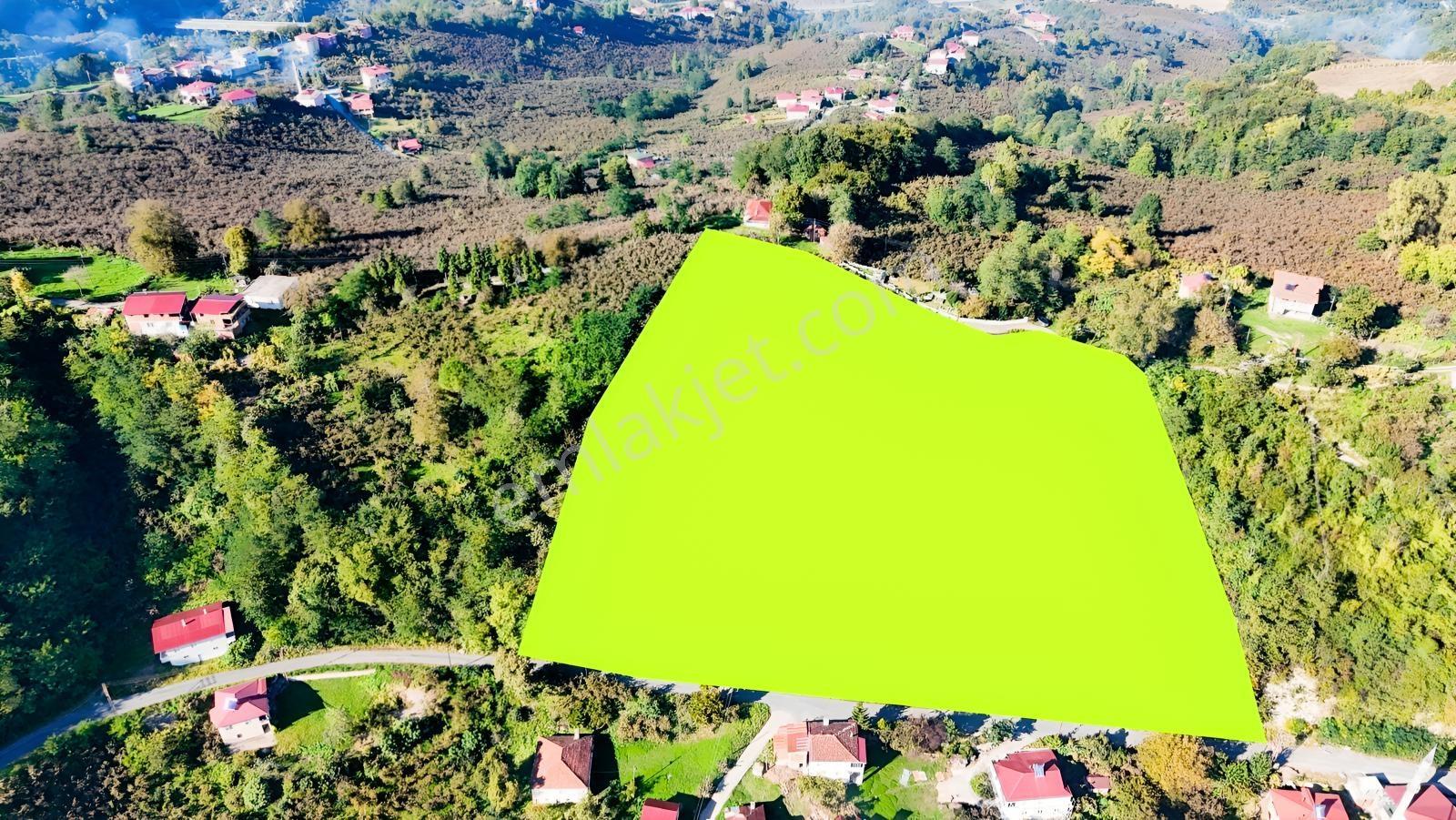 Ordu Oğmacada Yola Cepheli İçinde 3 Katlıevi Olan Satılık Arazi - Görsel 17