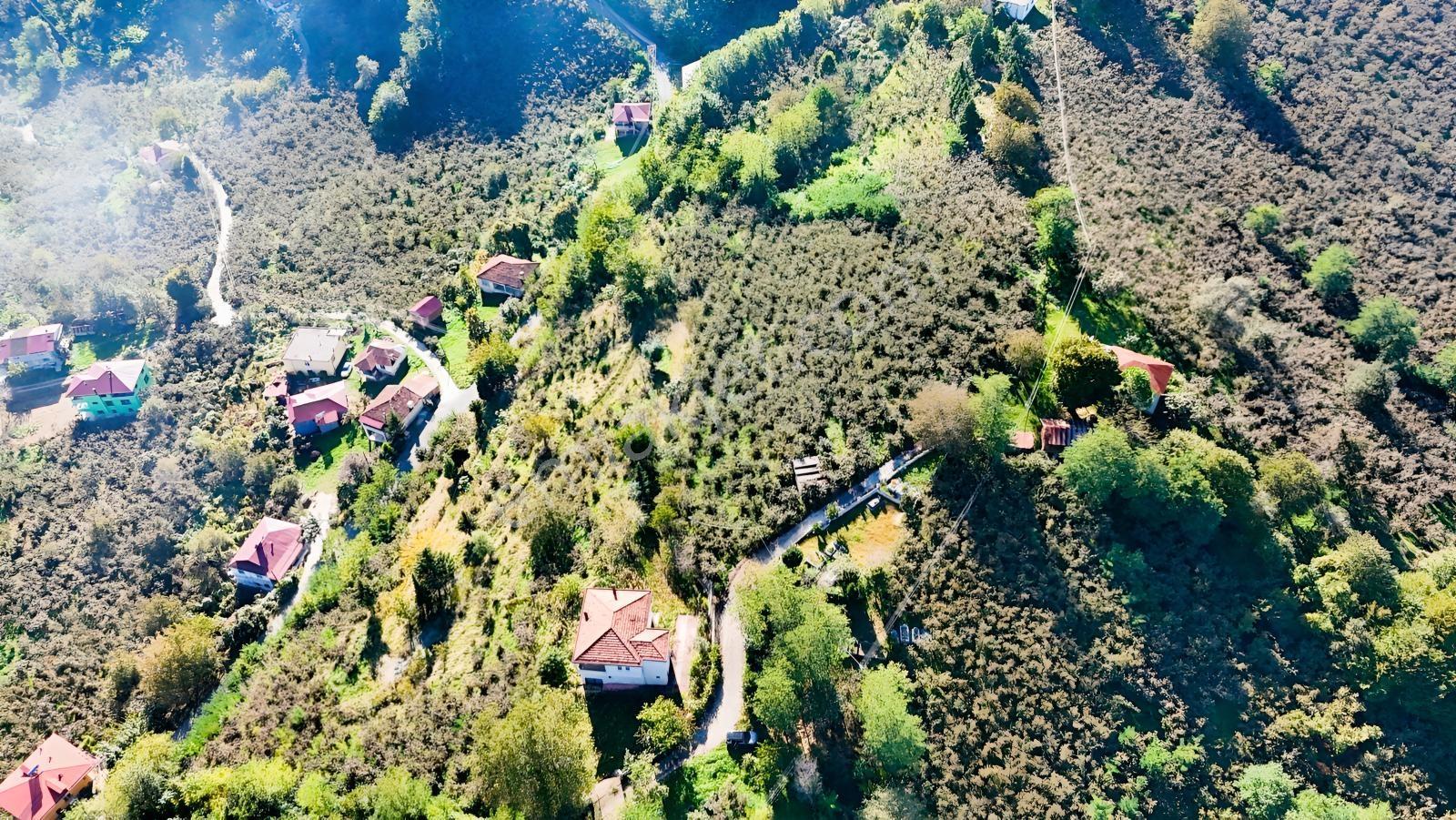 Ordu Oğmacada Yola Cepheli İçinde 3 Katlıevi Olan Satılık Arazi - Görsel 5