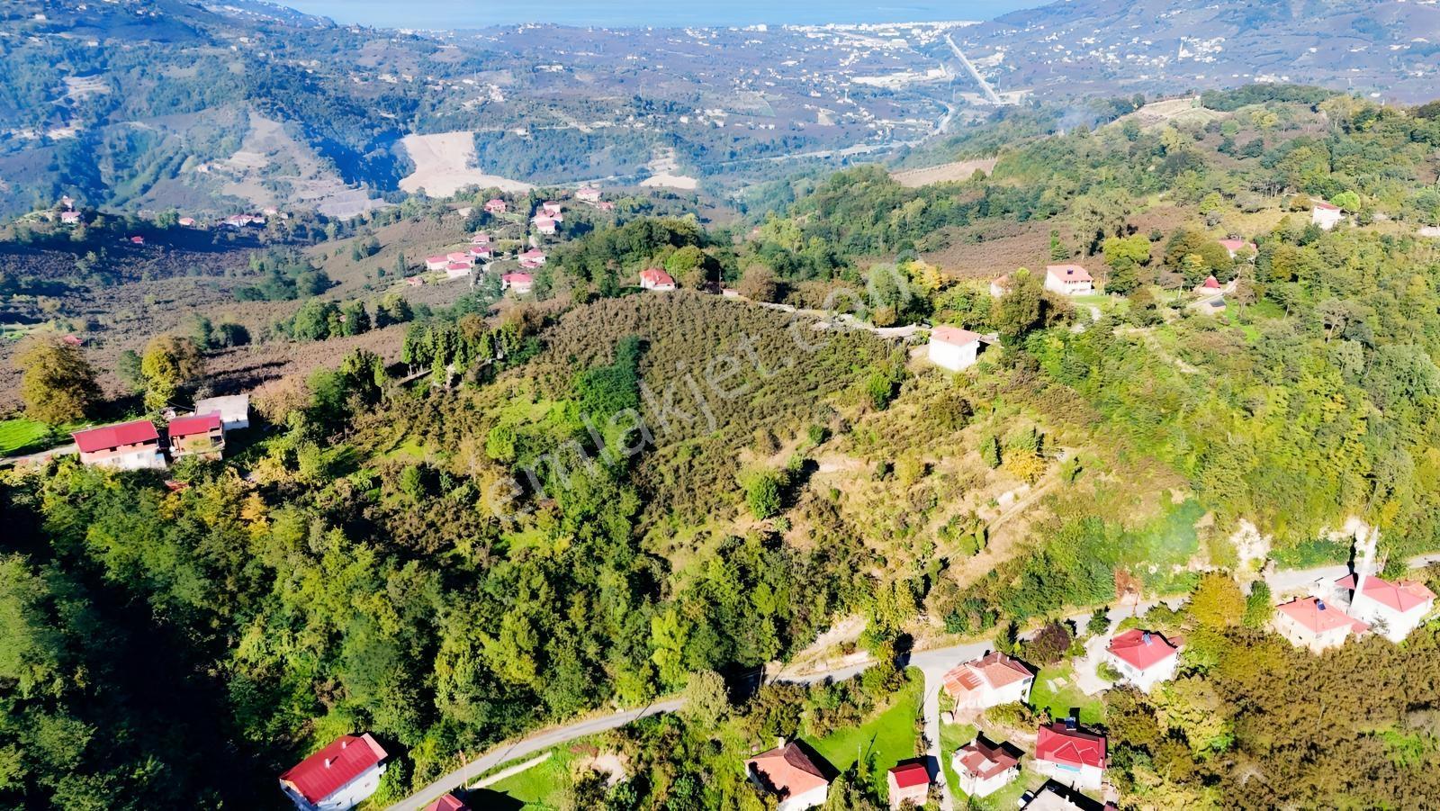 Ordu Oğmacada Yola Cepheli İçinde 3 Katlıevi Olan Satılık Arazi - Görsel 28