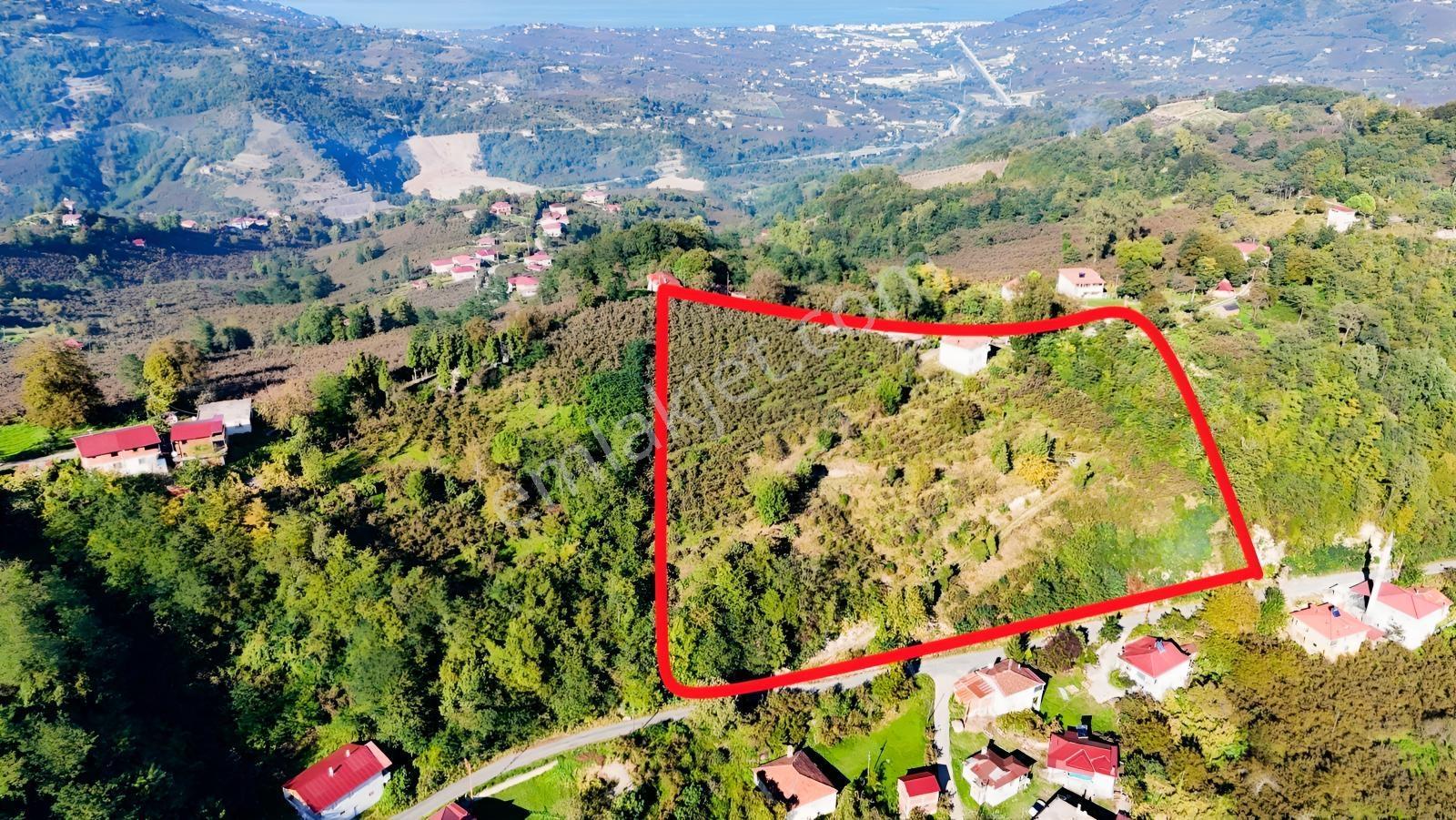 Ordu Oğmacada Yola Cepheli İçinde 3 Katlıevi Olan Satılık Arazi - Görsel 18