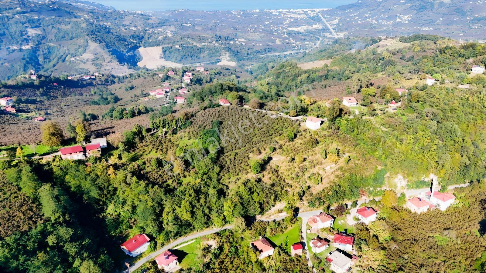 Ordu Oğmacada Yola Cepheli İçinde 3 Katlıevi Olan Satılık Arazi - Görsel 20