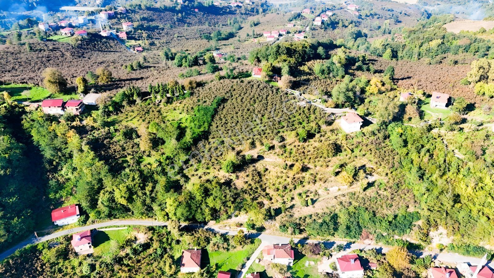 Ordu Oğmacada Yola Cepheli İçinde 3 Katlıevi Olan Satılık Arazi - Görsel 9