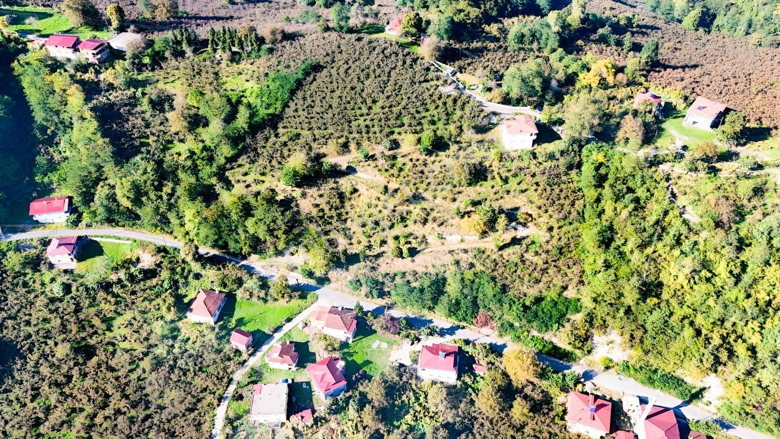 Ordu Oğmacada Yola Cepheli İçinde 3 Katlıevi Olan Satılık Arazi - Görsel 7