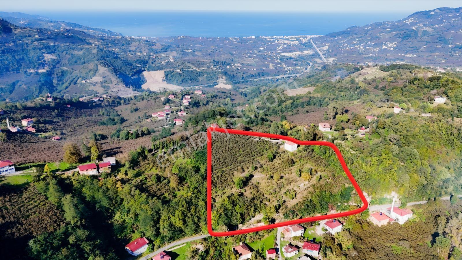 Ordu Oğmacada Yola Cepheli İçinde 3 Katlıevi Olan Satılık Arazi - Görsel 2
