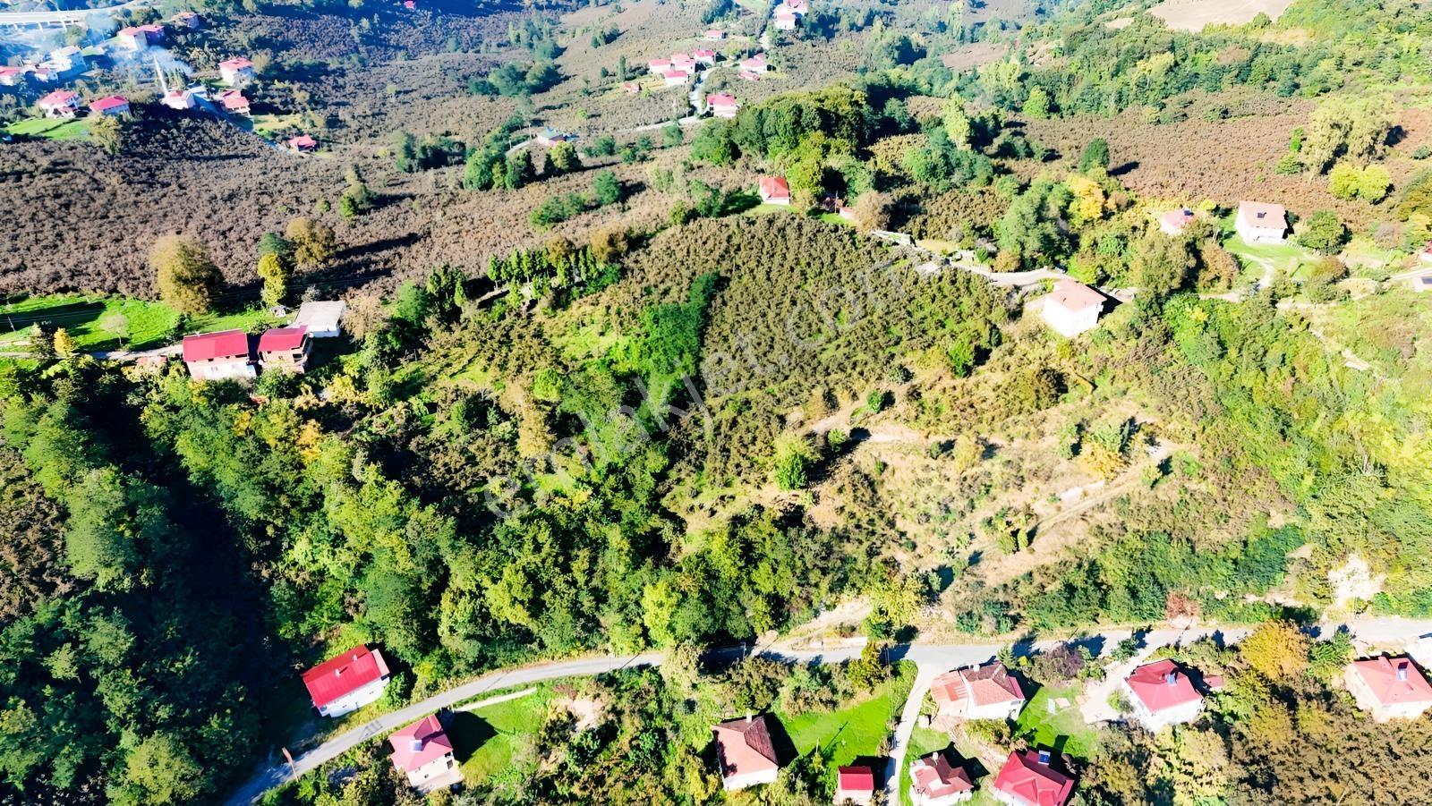 Ordu Oğmacada Yola Cepheli İçinde 3 Katlıevi Olan Satılık Arazi - Görsel 21