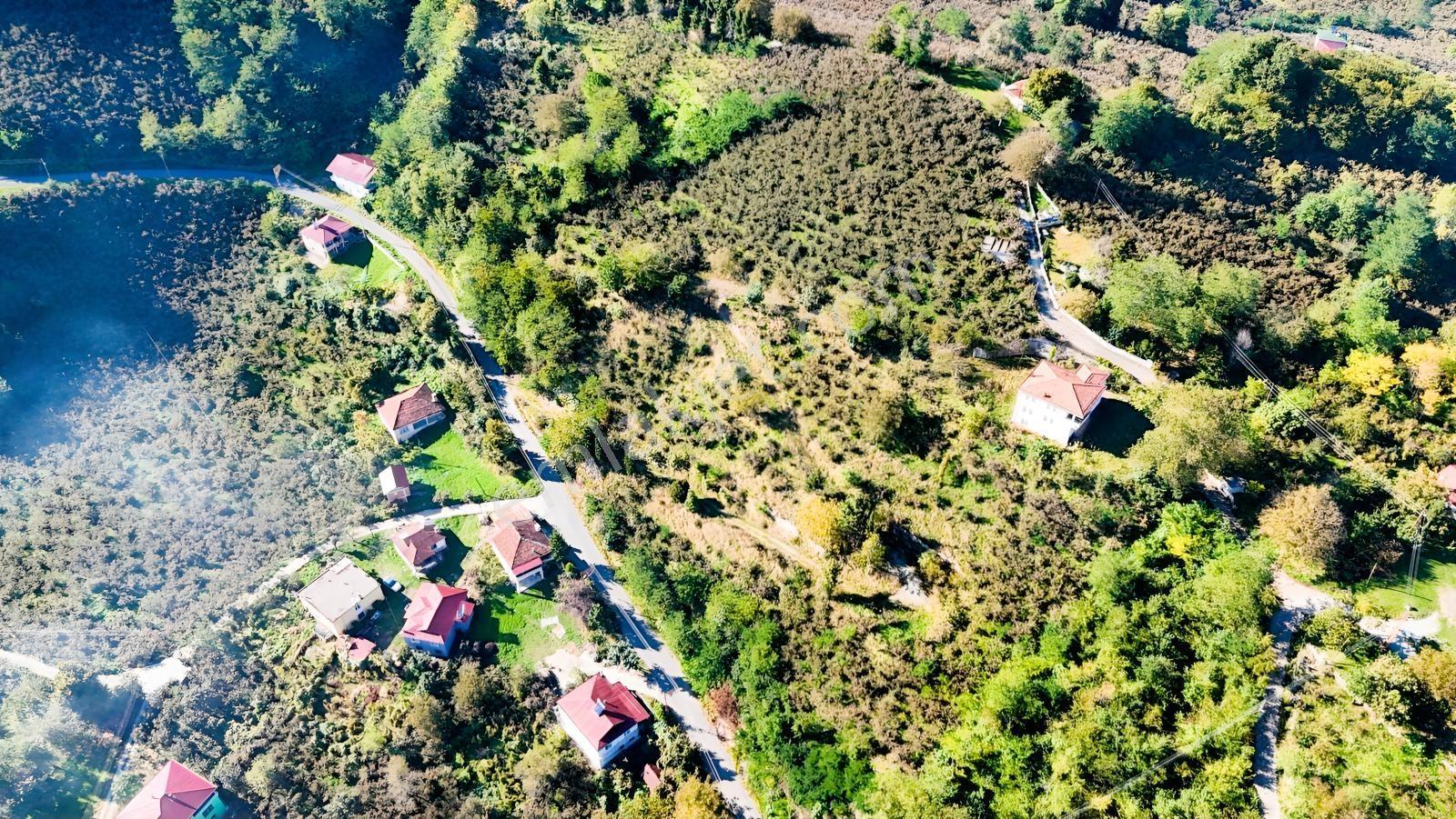 Ordu Oğmacada Yola Cepheli İçinde 3 Katlıevi Olan Satılık Arazi - Görsel 6