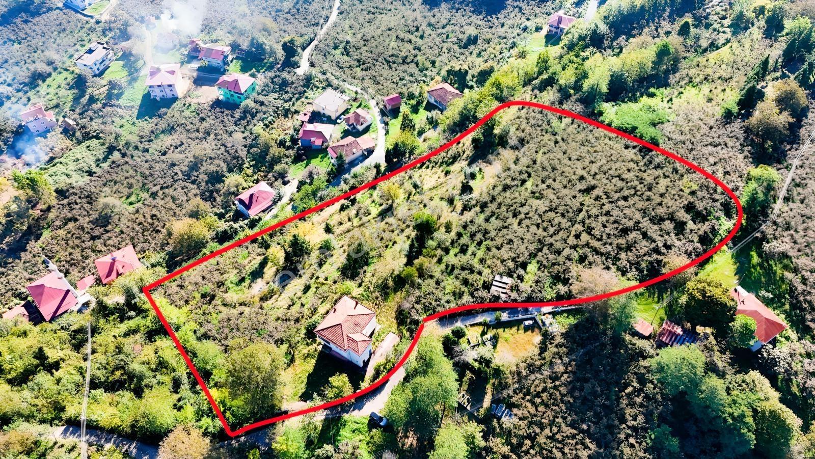 Ordu Oğmacada Yola Cepheli İçinde 3 Katlıevi Olan Satılık Arazi - Görsel 32