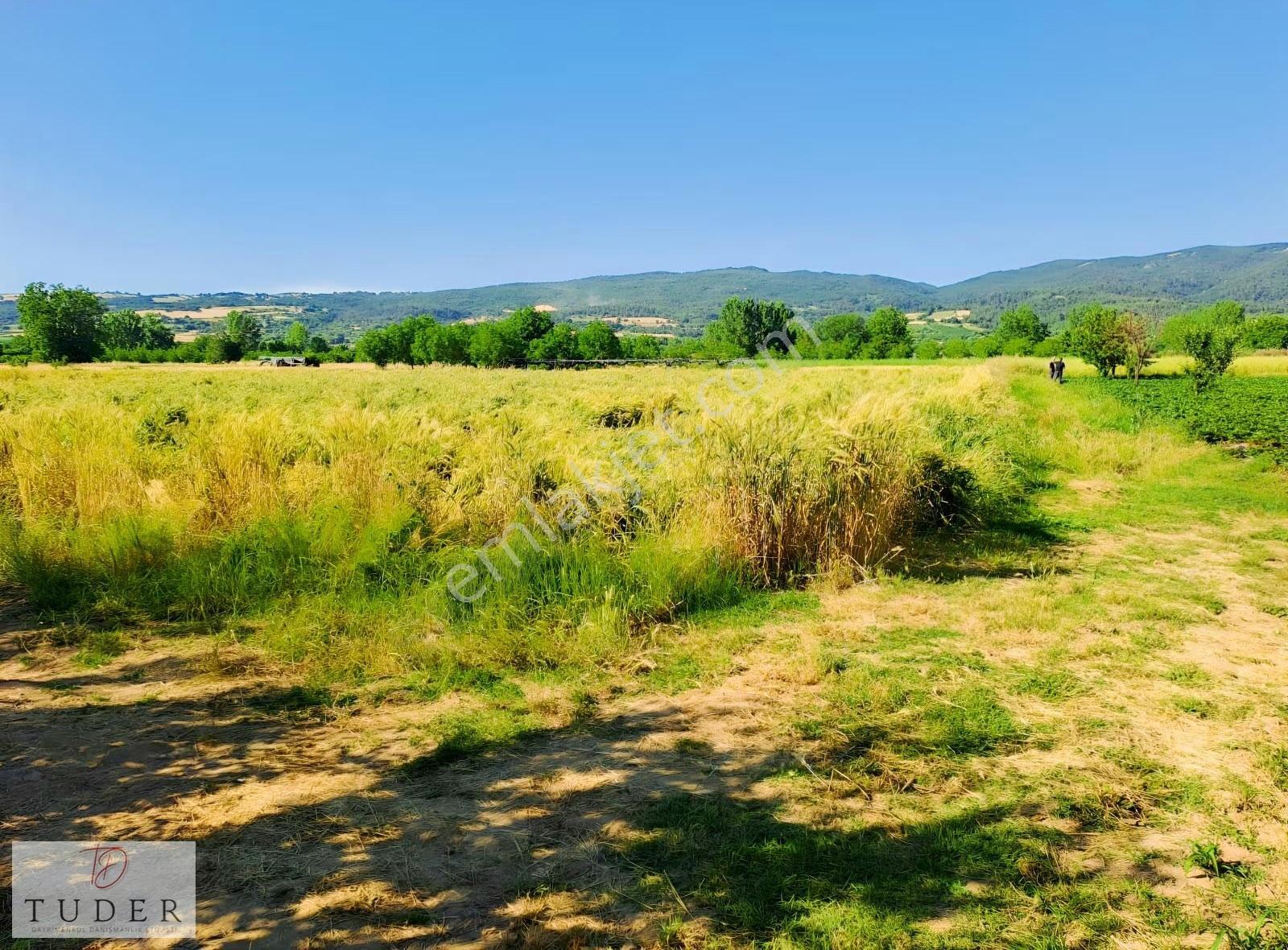 İnegöl Küçükyenice Asfalta 75 Mt Tek Tapu 2210 M² Satılık Tarla - Görsel 14